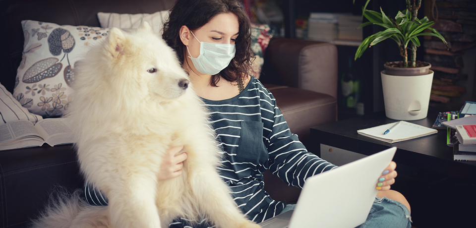 Frau mit Laptop auf dem Schoß und Mundschutz legt Arm großem weißem Hund: Plötzlich im Home Office. Wie ist es mit der Hausratversichrung?