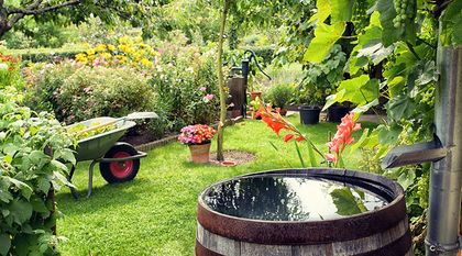Bild zum Artikel: Gartentechnik - zwischen Rasenmäher und Sprinkler