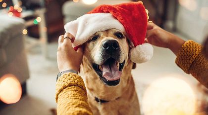 Bild zum Artikel: Fünf Tipps für sichere Weihnachten