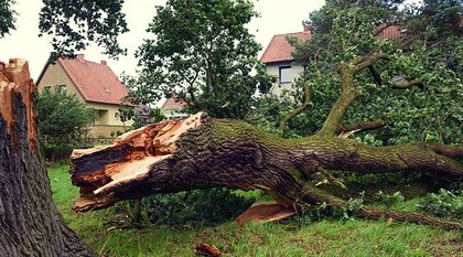 Bild zum Artikel: Sicher bei Sturm in Herbst und Winter