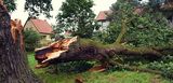 Der Sturm hat einen dicken Baum umgeknickt. Er hat ein Hausdach beschädigt. Viele Sturmschäden können jedoch vermieden werden.