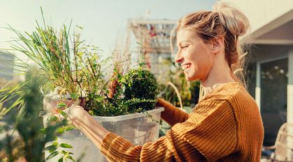 Bild zum Artikel: Urban Gardening auf dem Dachgarten und Balkon