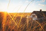 Ein Ferienhaus duckt sich hinter einer Düne. Es ist ein Ferienhaus, dass ab sofort über die Ferienhausversicherung abgesichert werden kann. 