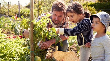Bild zum Artikel: Permakultur-Garten anlegen: eine Anleitung für Garten, Beet und Balkon 