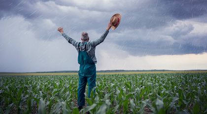 Bild zum Artikel: Die 12 besten Bauernregeln – nachhaltige Wettervorhersagen 