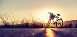 Ein Fahrrad steht im Sonnenuntergang am Rande einer Wiese. Es ist allein und es braucht Schutz. Ein großes Fahrradschloss liegt im blumenumflorten Fahrradkorb. 