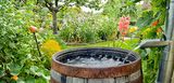 Blühender Naturgarten, im Vordergrund läuft Regenwasser aus einem Fallrohr in ein Holzfass.