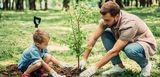 Ein Vater pflanzt mit seinem Sohn ein Baum. 