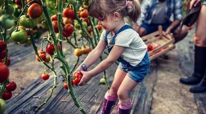 Bild zum Artikel: Gartenstile – Planung, Gestaltung und Aufwand 
