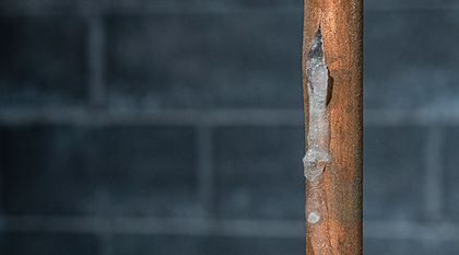 Bild zum Artikel: Frostschaden und Versicherung: Worauf Sie achten sollten