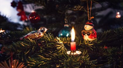 Bild zum Artikel: Weihnachtsbaum und Brandgefahr 