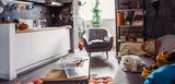 Kleiner Malteserhund liegt gemütlich auf der Couch einer Pendlerwohnung. Es handelt sich um eine Wohnküche einer kleinen Zweitwohnung. 