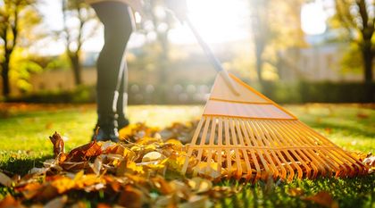 Bild zum Artikel: Rasenpflege im Herbst und Winter