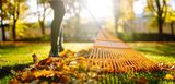 Person harkt Herbstlaub mit Laubrechen vom grünen Rasen – wichtige Rasenpflege im Herbst zur Vorbereitung auf den Winter.