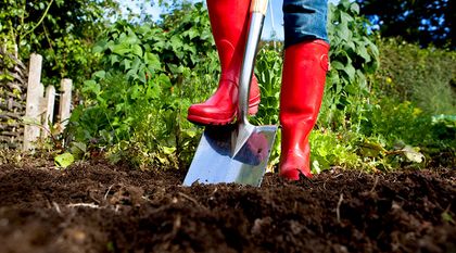 Bild zum Artikel: Garten aufräumen und Rasen fit machen - So gelingt es!