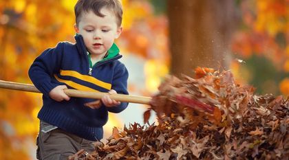 Bild zum Artikel: 6 Gartentipps für den Winter