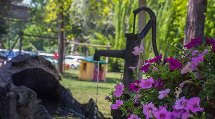Bild zum Artikel: Garten bewässern – Von der Gartenpumpe bis zum Hauswasserwerk 