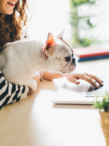 Newsletter bestellen