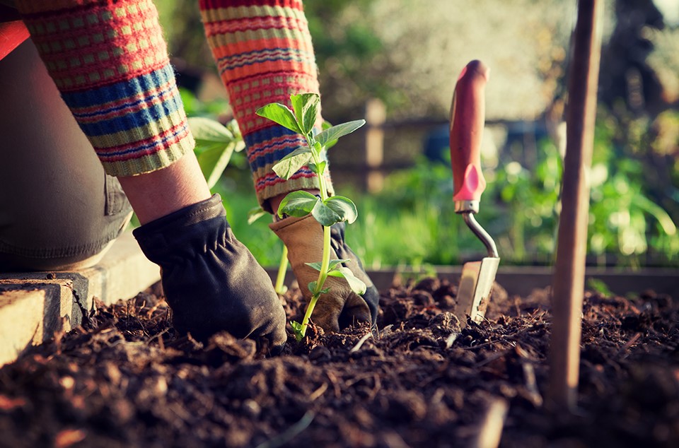 Hurra, der Frühling ist jetzt da. Und damit wird es allerhöchste Zeit, den Garten bereit zu machen, zu reinigen, zu streichen, zu pflanzen. Auf dem Balkonen geht es ähnlich zur Sache, nur eventuell etwas kleinformatiger. 