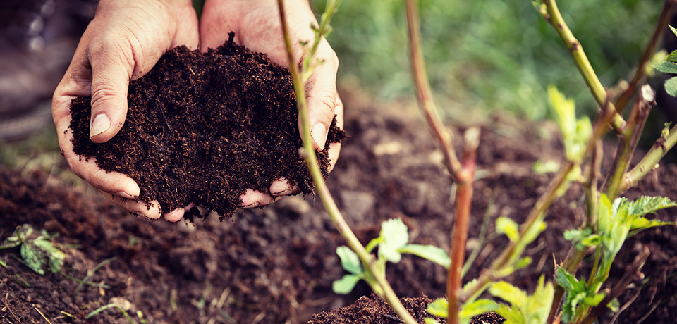 Eine Hand voller Erde. Mutter-Erde. Die Hand an der Scholle. Damit fängt eine gute Gartenplanung an. 