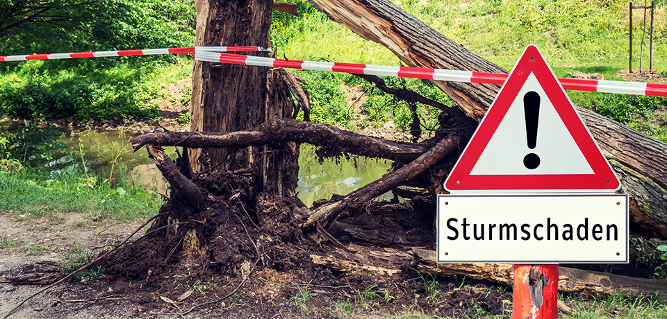 Immer heftiger auftretende Unwetter führen zu immer stärkeren Schäden. Vom Sturm umgerissene oder zerknickte bäume können auf HÄusern landen. Die verursachten Schäden sind dann sehr teuer werden. 