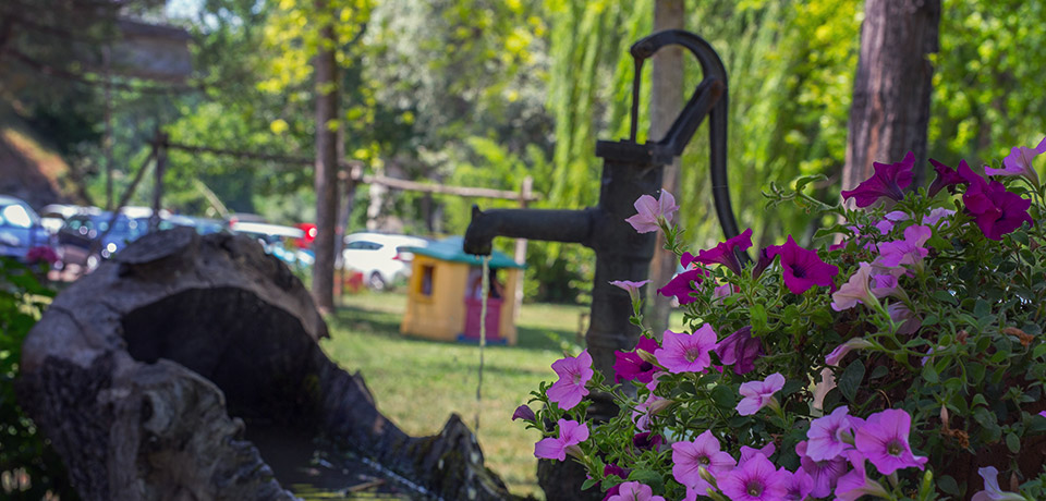 Wasserpumpe im Garten ist praktisch für die Gartenbewässerung. BEsonders wenn man keinen Schlauch anschließen kann. 