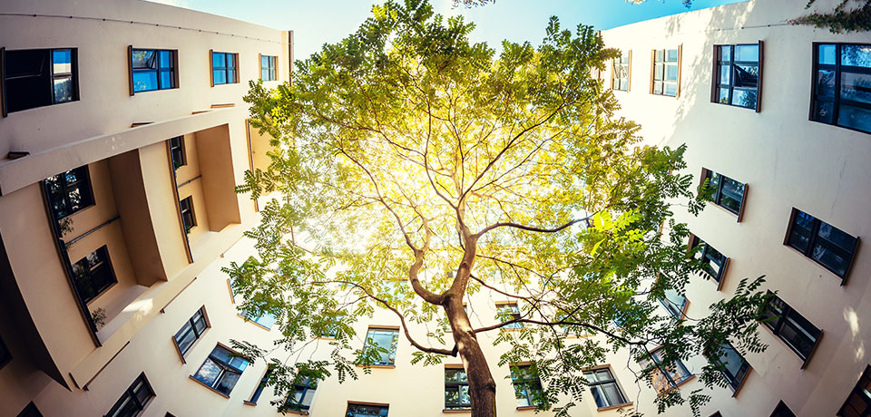 Schönes Mehrfamilienhaus mit Baum. Es ist wichtig es mit einer guten Gebäudeversicherung abzusichern. 