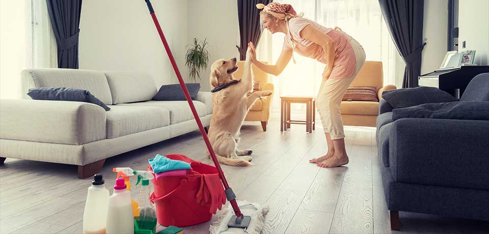 Haushaltshilfe und Hund klatschen sich ab. Die meisten Unfälle passieren im Haushalt, weiß der Volksmund.  Daher ist es wichtig, dass die Haushaltshilfe gut versichert ist. 