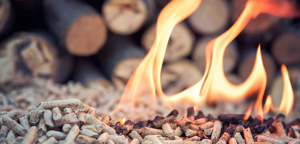 Holzpellets schenken wohlige Wärme. Aber  sind sie für jedes Haus und jeden Besitzer die beste Lösung?