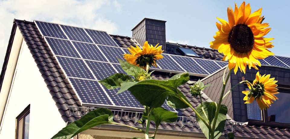 Ein Dach mit Photovoltaikanlage vor Sonnenblumen. Die neuen HomeCare-Tarife der Haus- und Grundbesitzerhaftpflichtversicherung der GEV sichert diese ab.  