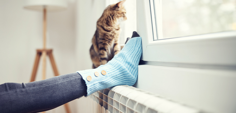 Behagliche Wärme für Mensch und Katze durch richtiges Heizen mit der Wärmepumpe.